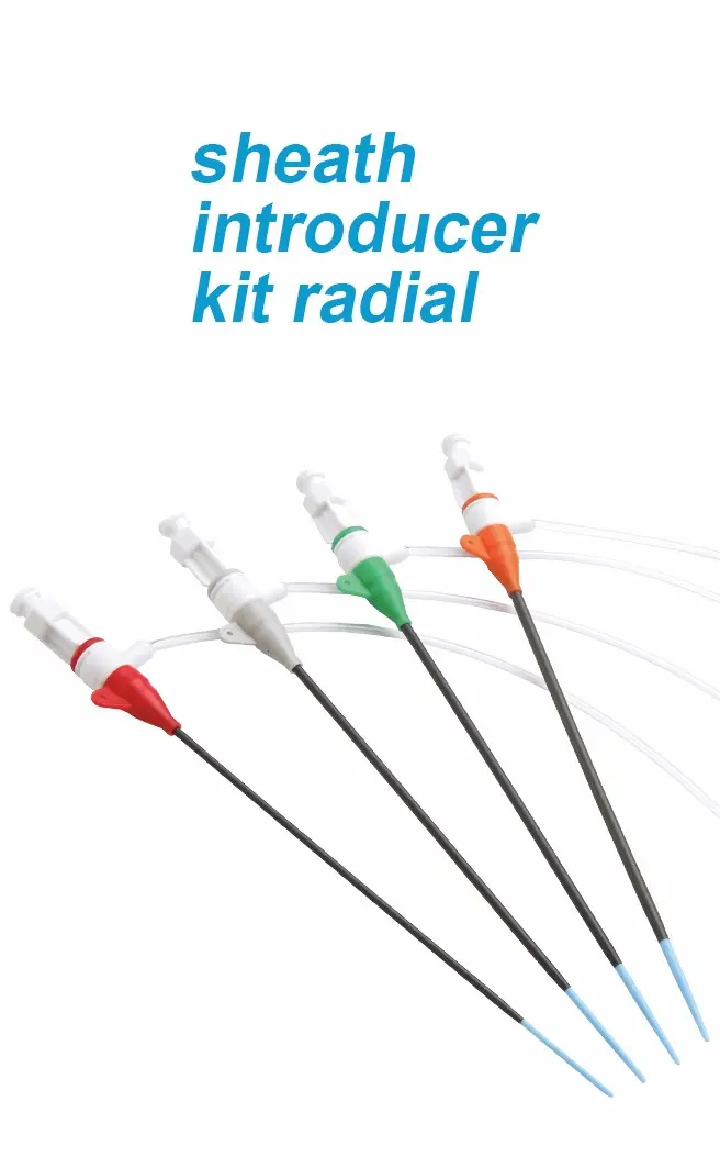 sheath introducer kit radial