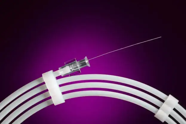 Catheter guidewire Champion PTCA CAR